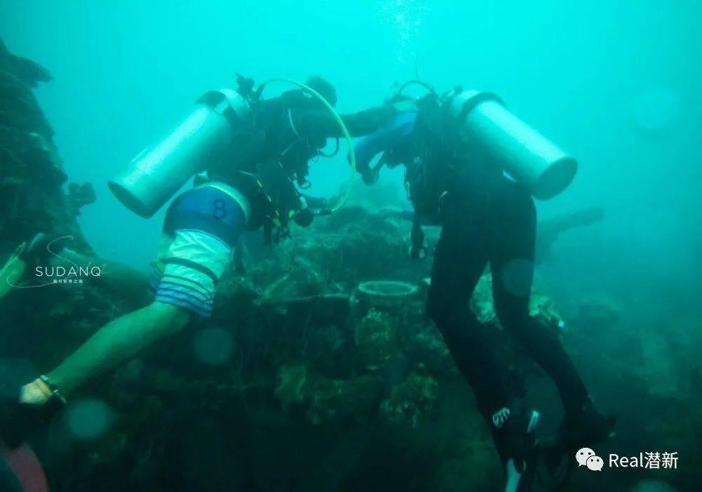 药师帮：医药流通价值链重塑 数字化能力或成“胜负手”